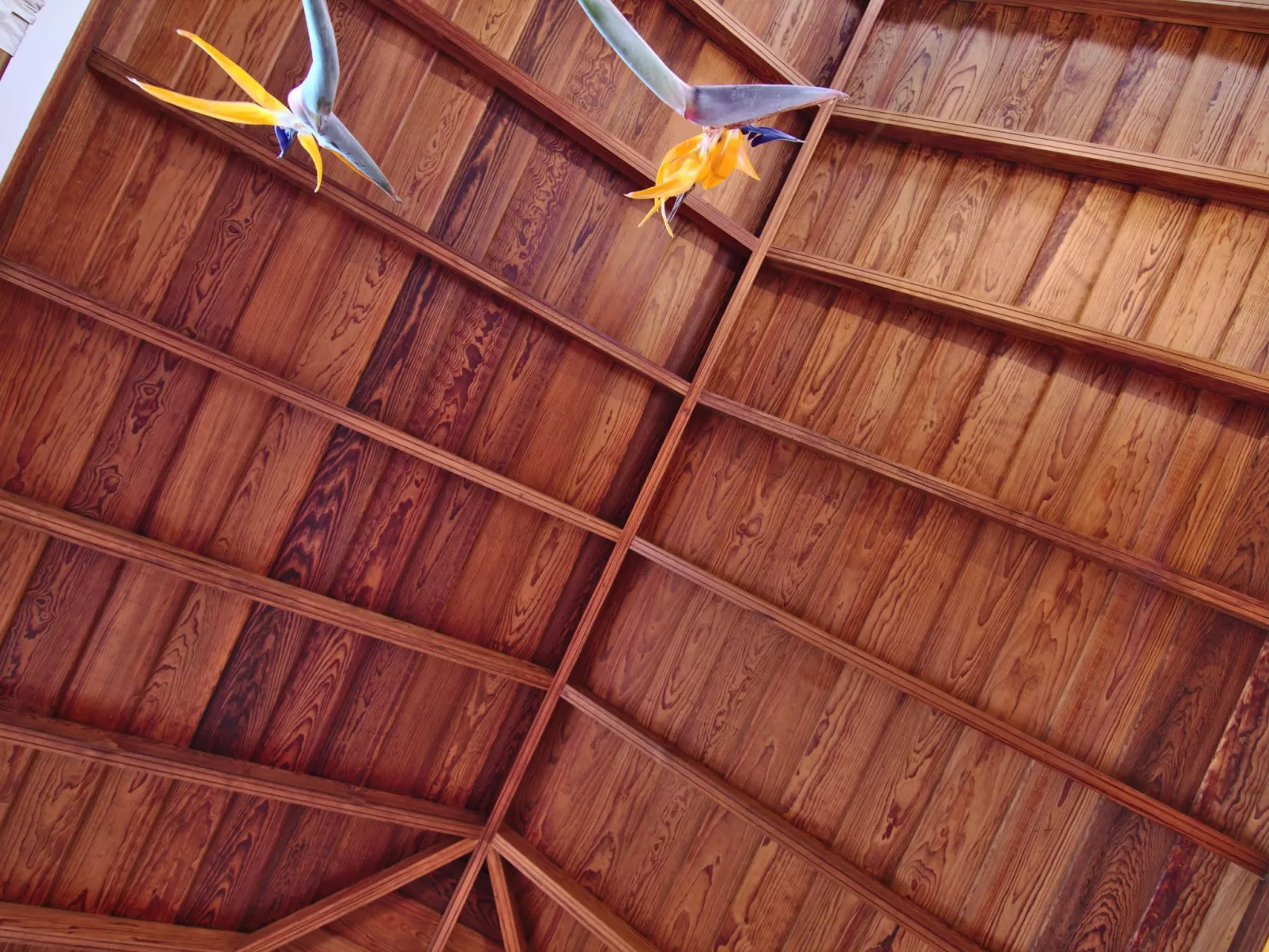 Casa Tanausu - Typisch kanarische Ferienunterkunft-Outside