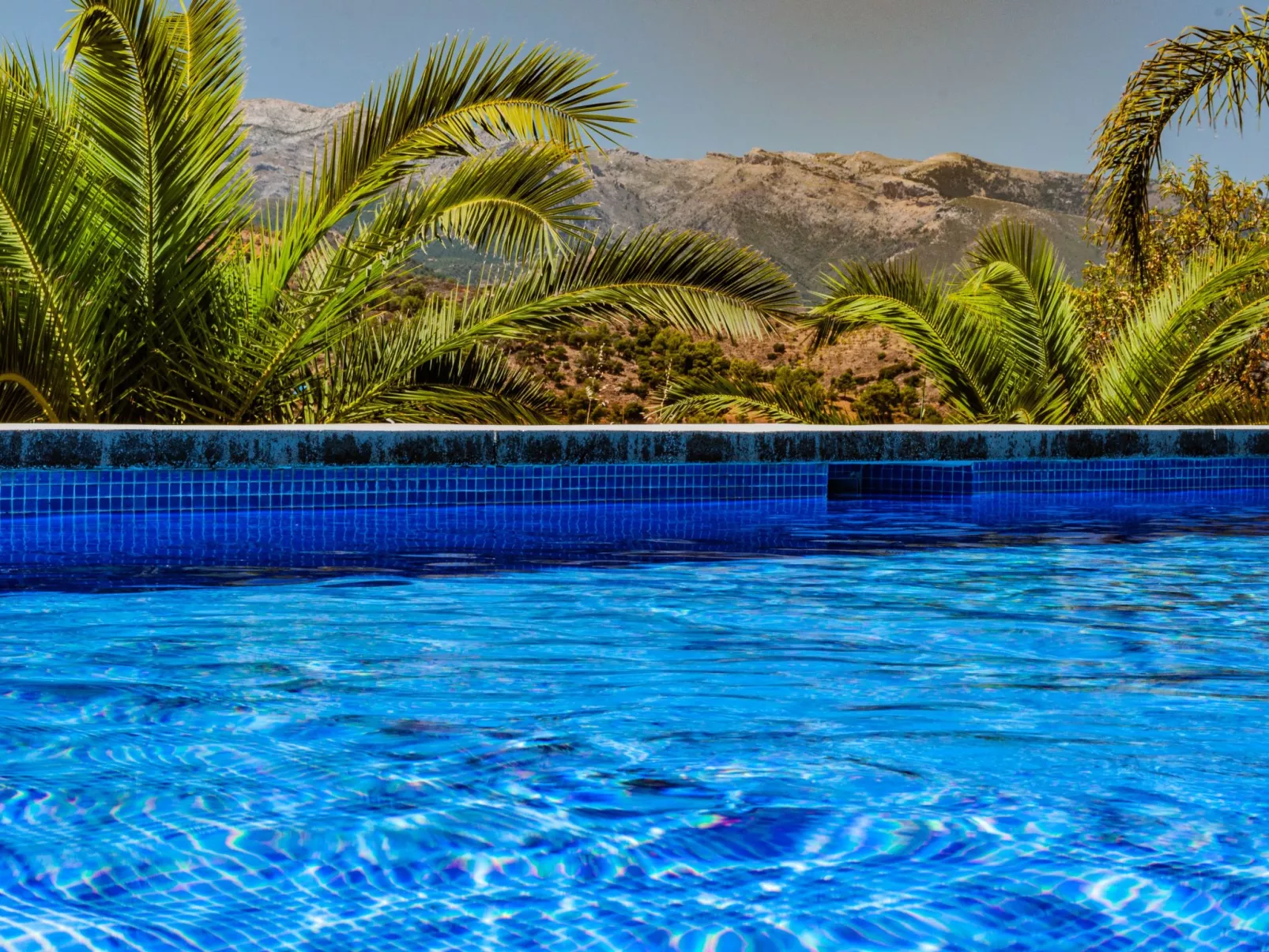 Seeadlerhorst-Draußen