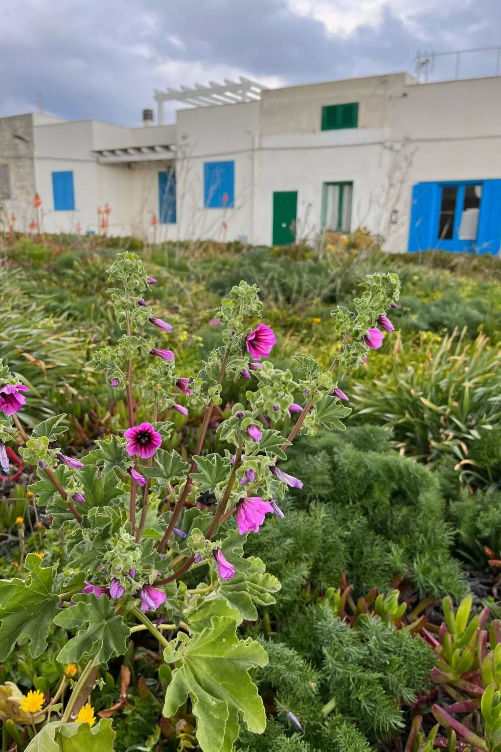 Casetta Favonia - Favignana Insel Sizilien-Image-tags.info