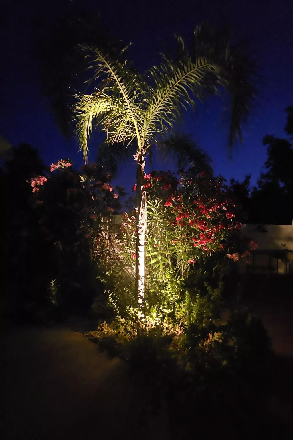 Wohnung 'Serendila' mit Wallbox-Image-tags.info