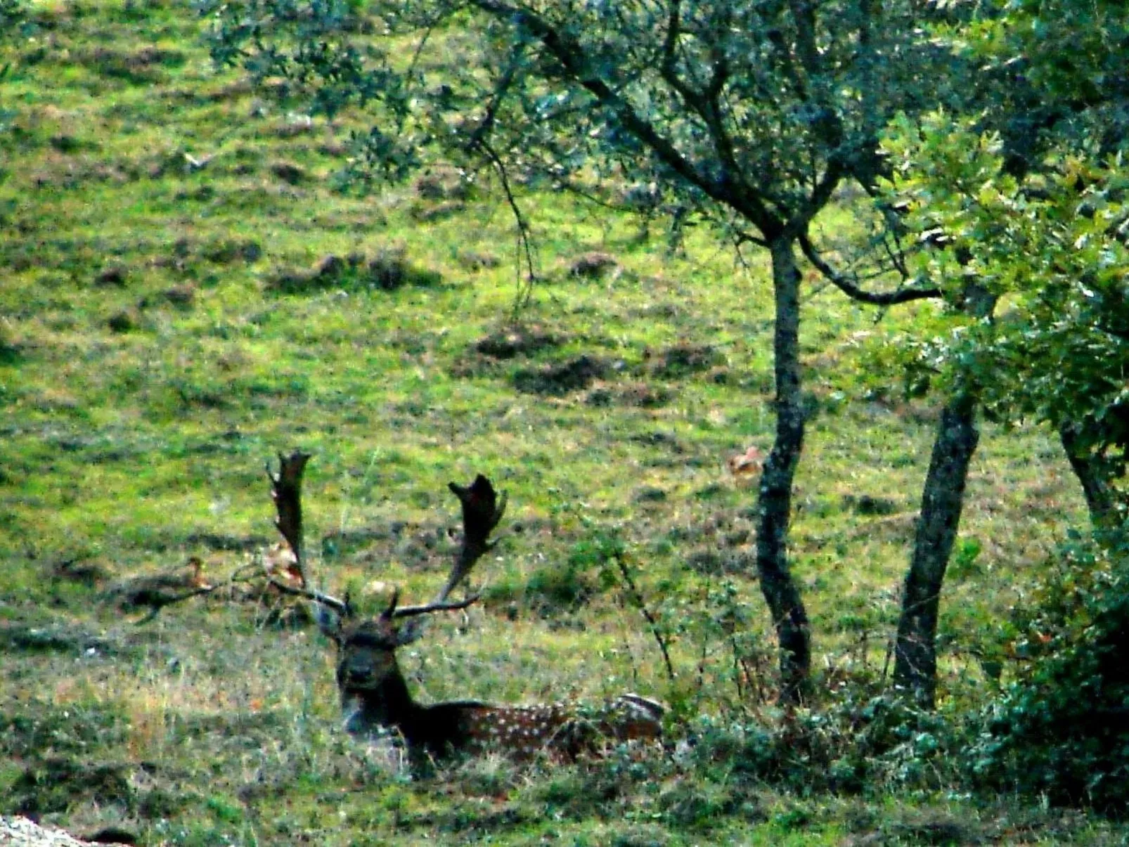 Villa mit Pool und zauberhafter Aussicht-Outside