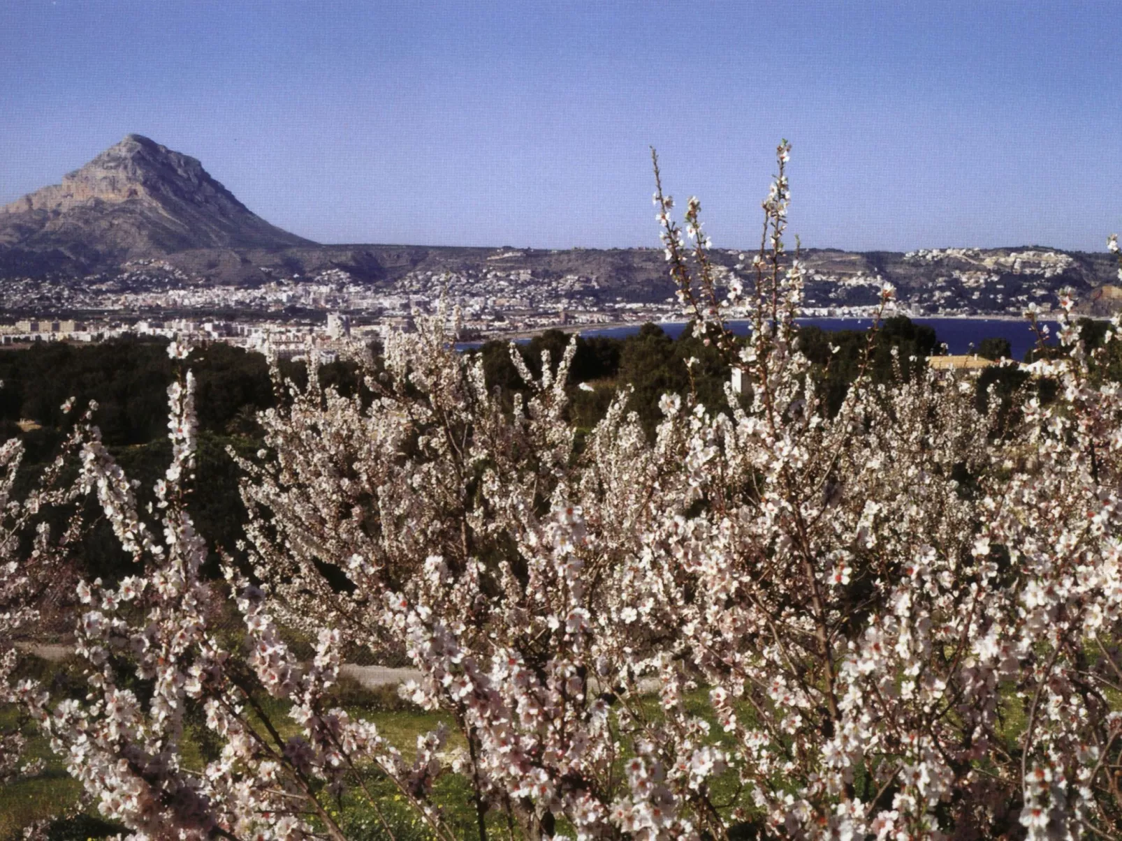 Villa Sofie-Draußen