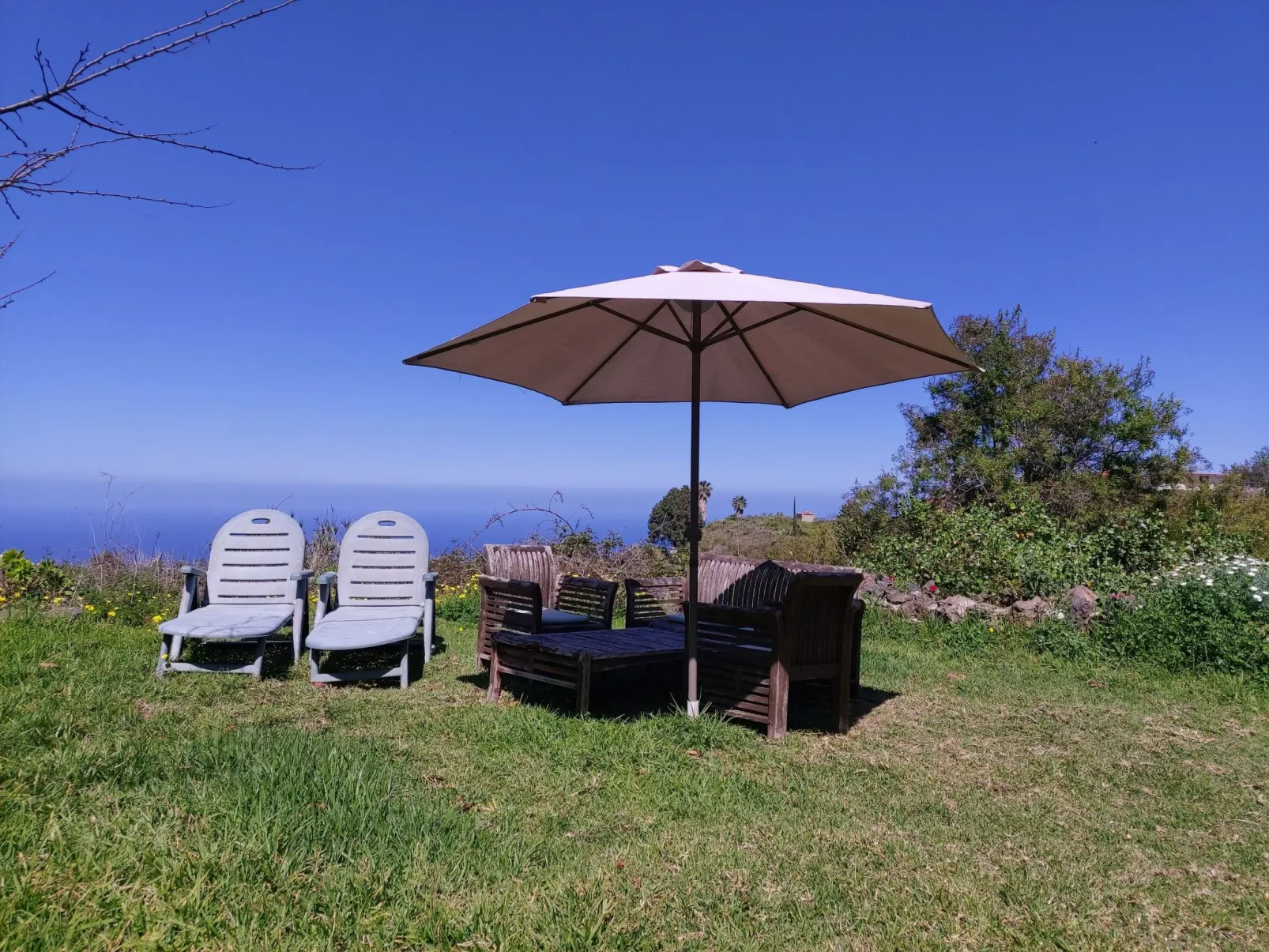 FW Cueva del Viento-Image-tags.info