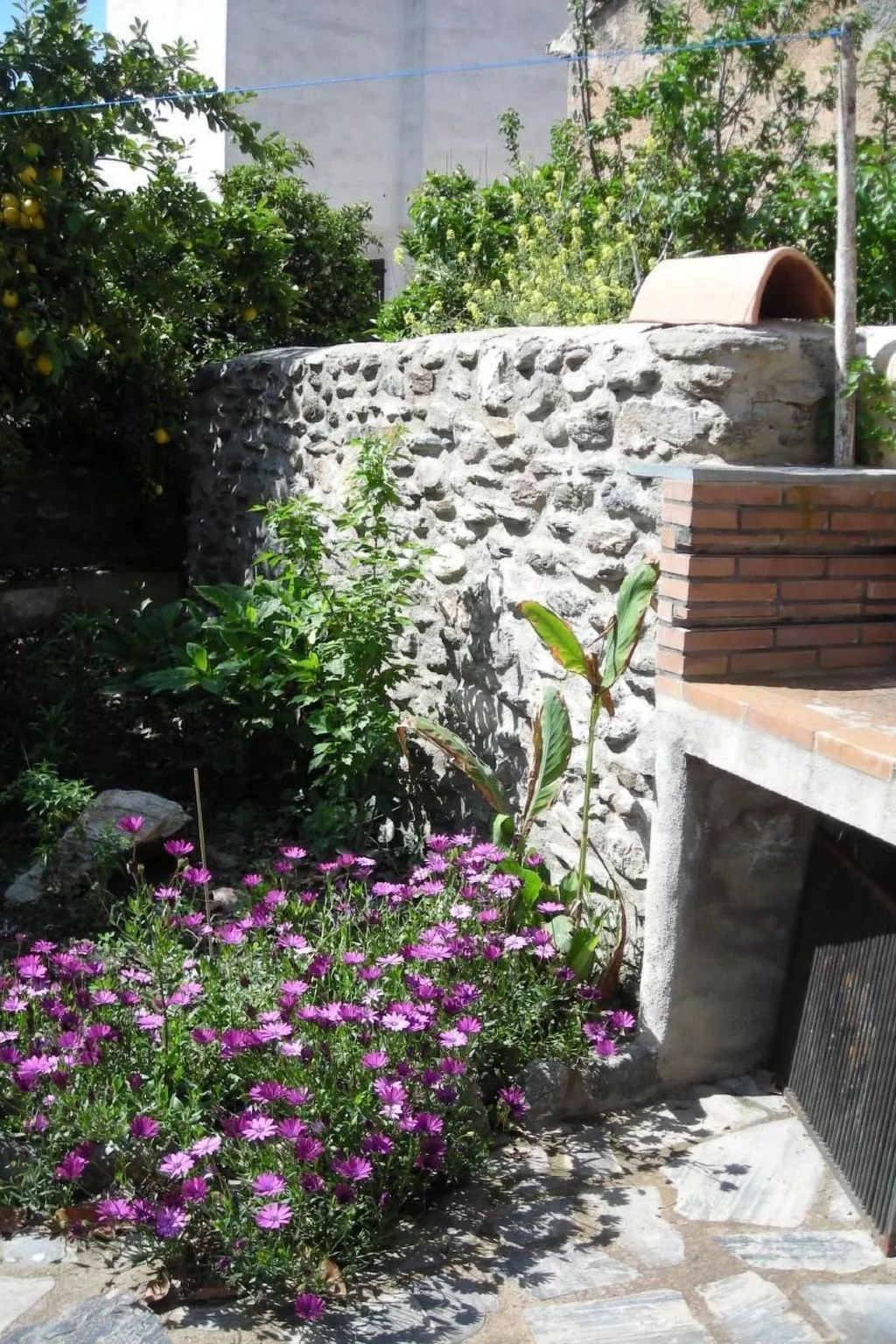 Eine Oase der Ruhe mitten in der Stadt-Dehors