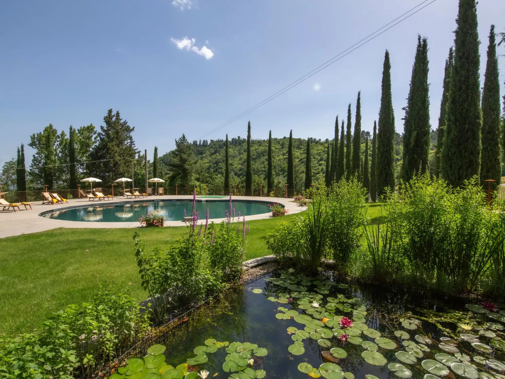 Villa Benfenati genialer Pool, Hochzeit, ganzer Zaun-Outside