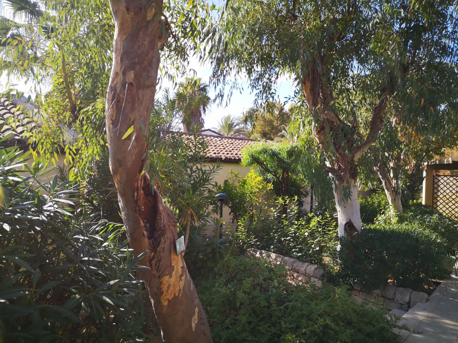 Schöner, neuer und zentraler Bungalow direkt am Sandstrand auf Sizilien-Outside