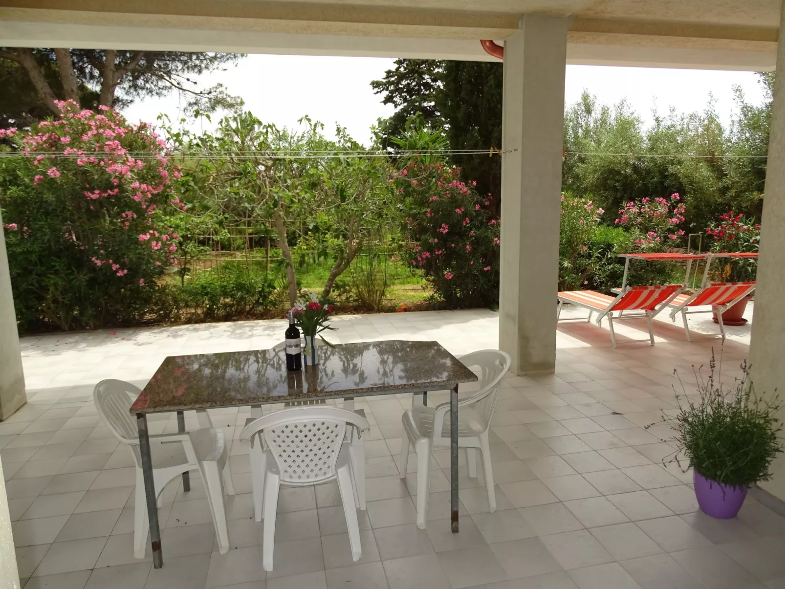 Mit grosser Terrasse direkt am Meer-Image-tags.info