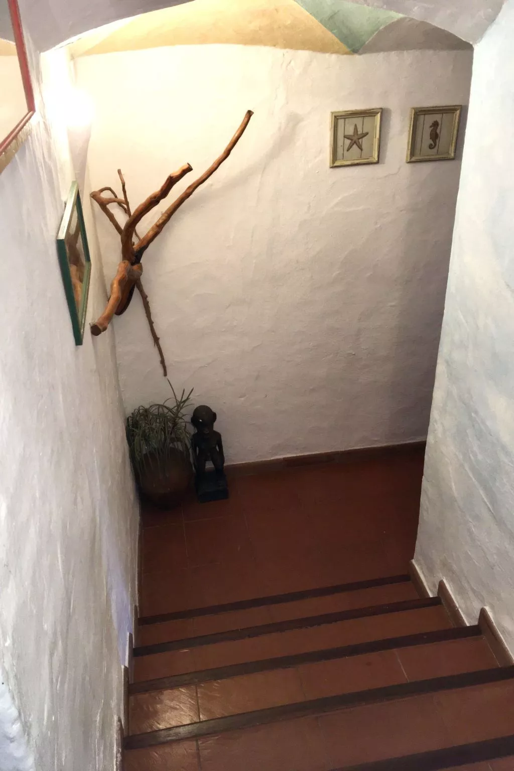 Tolle Wohnung in Liscia Di Vacca mit Grill und Garten - Image-tags.info