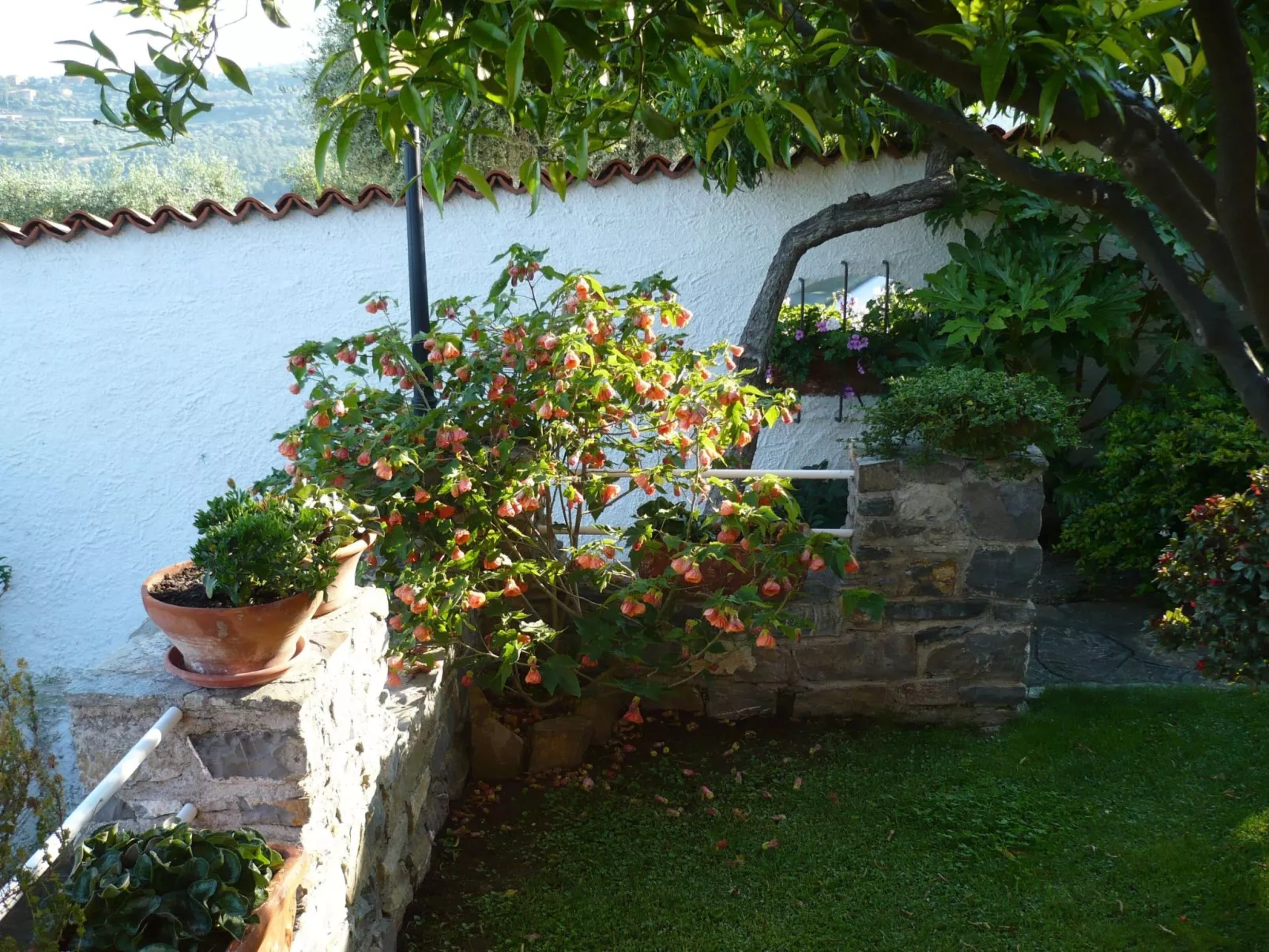 Anwesen mit Wasserblick - Outside