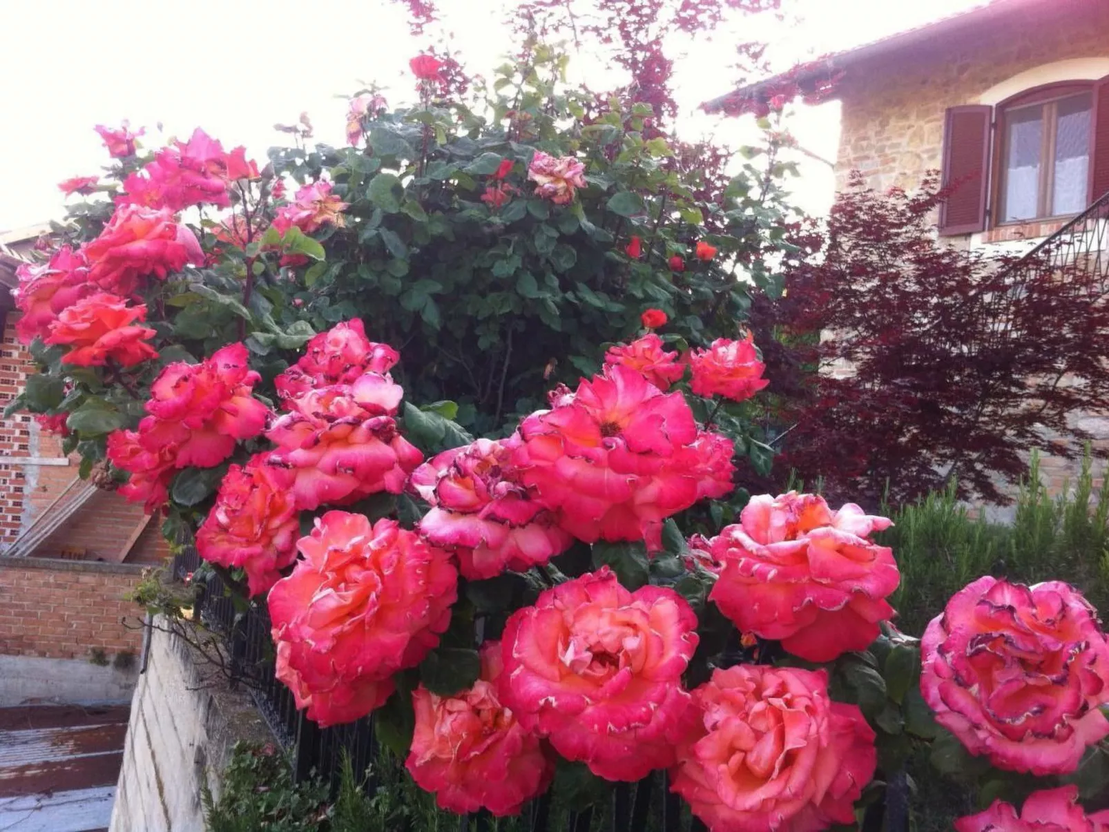 In Verduno mit Gemeinschaftspool-Dehors