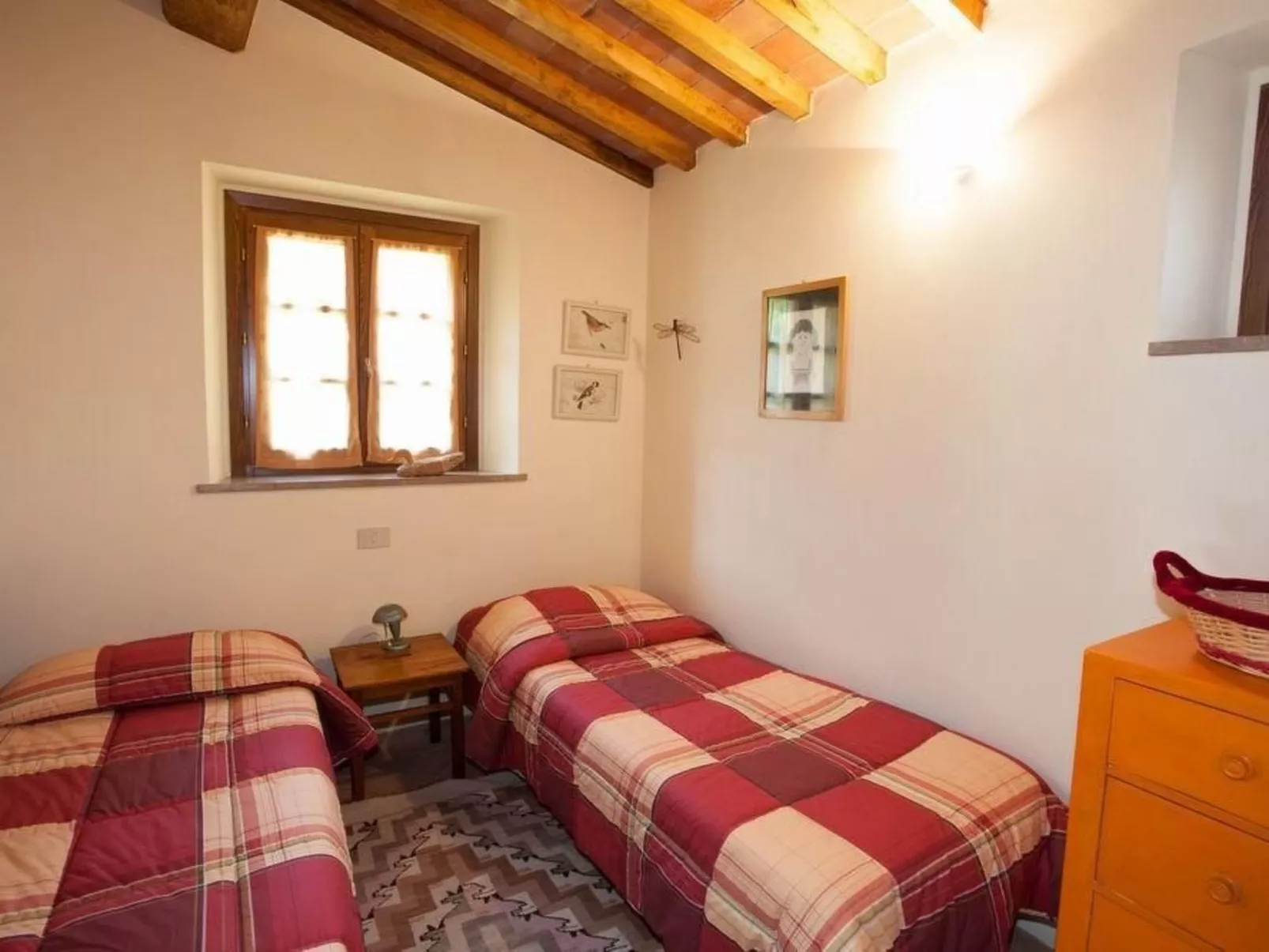 Molino Trilo 5-Inside