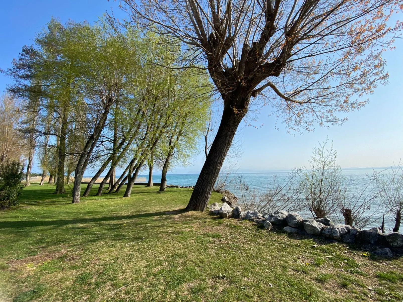 Gemütliche Drei-Zimmer-Wohnung mit Garten-Outside