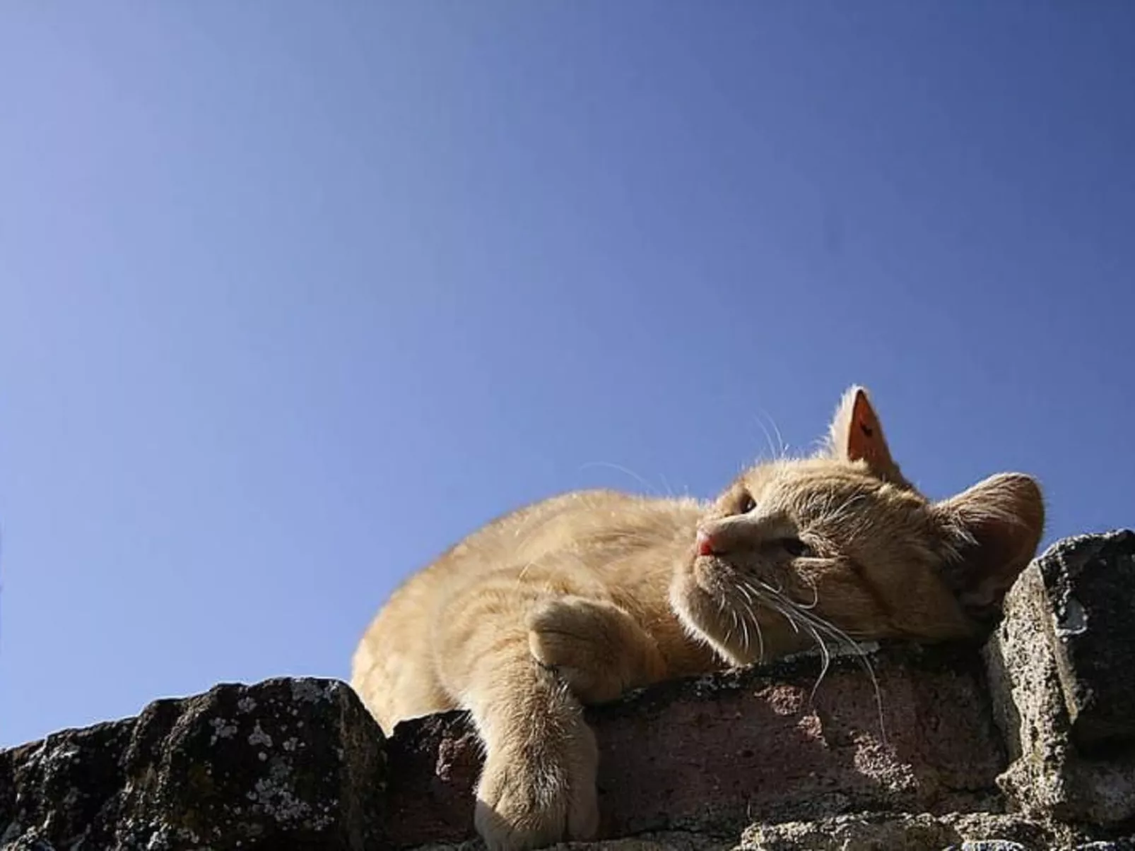 Wohnung mit Poolbenutzung-Outside
