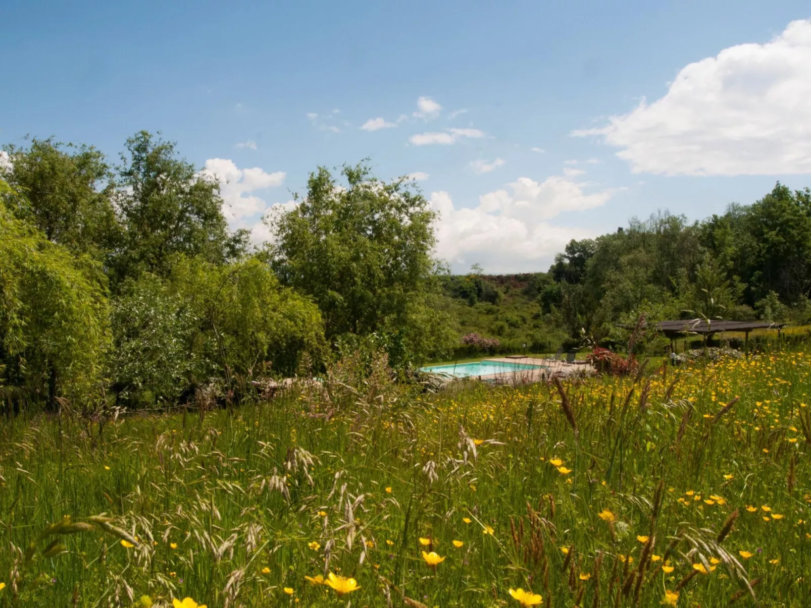 Wohnung in Figline Valdarno mit Gemeinschaftspool-Image-tags.info