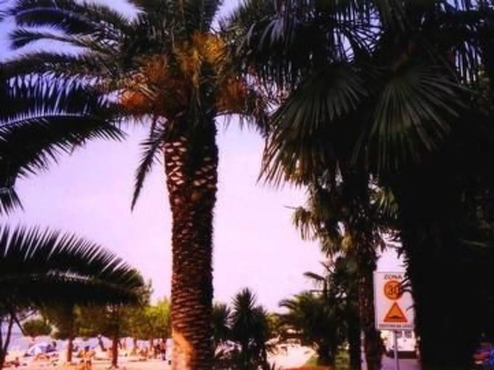 Mit Blick auf das Wasser-Image-tags.info