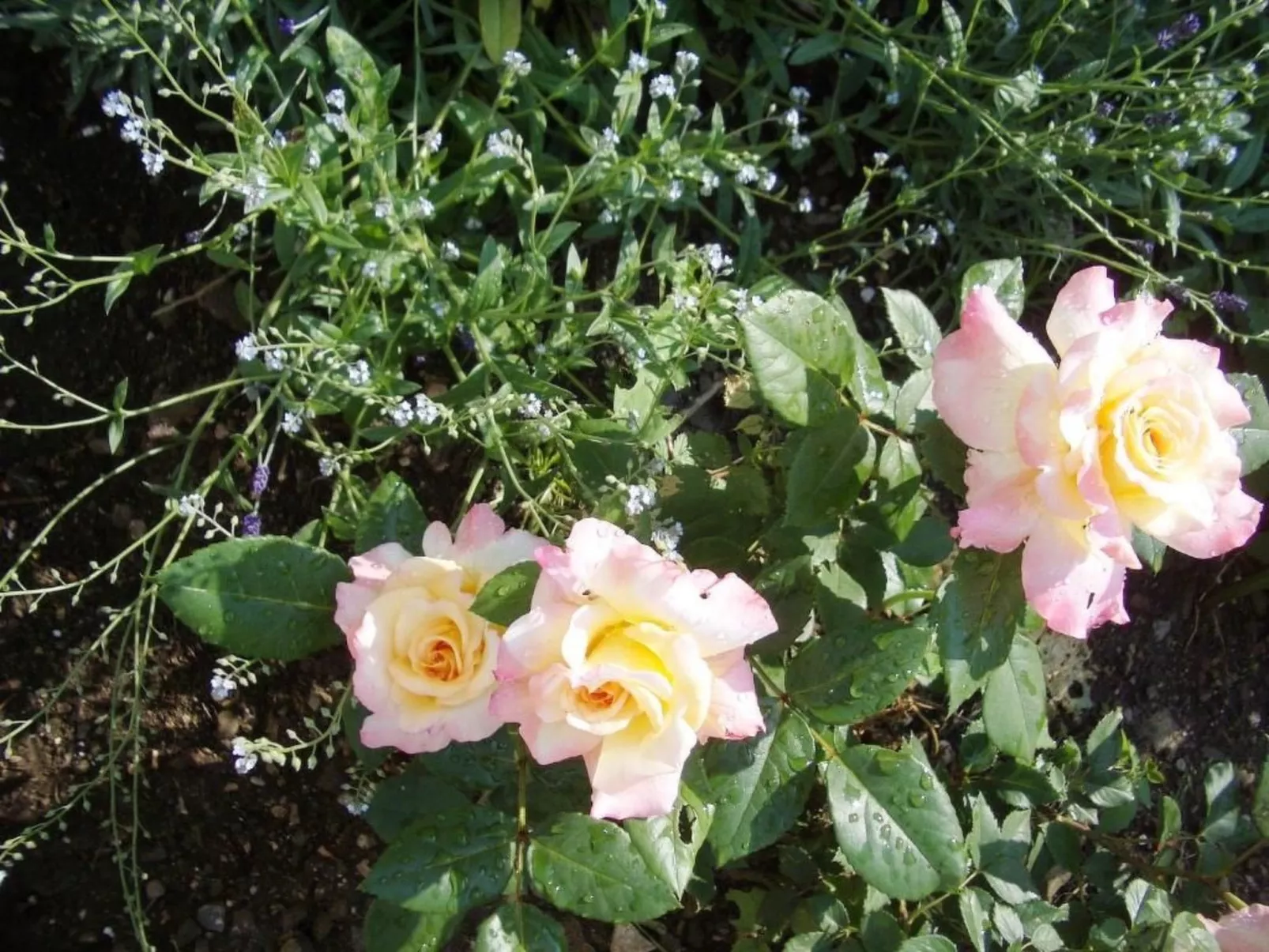 Black & White-Outside