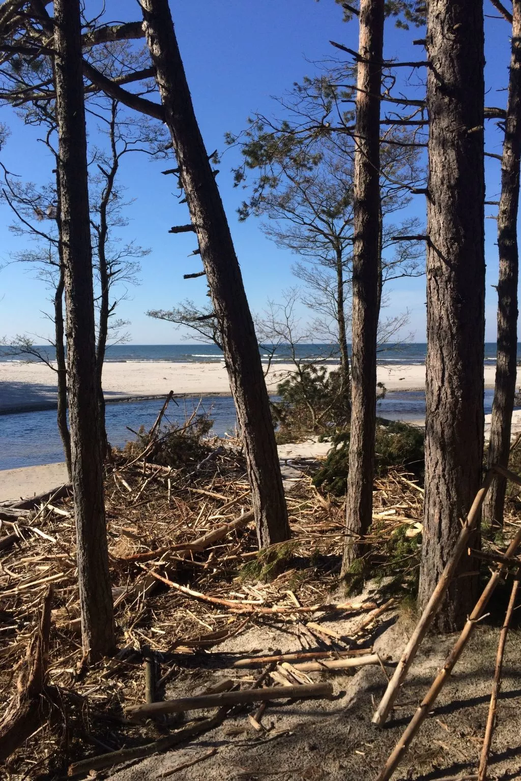 Mit Schwimmbad-Outside