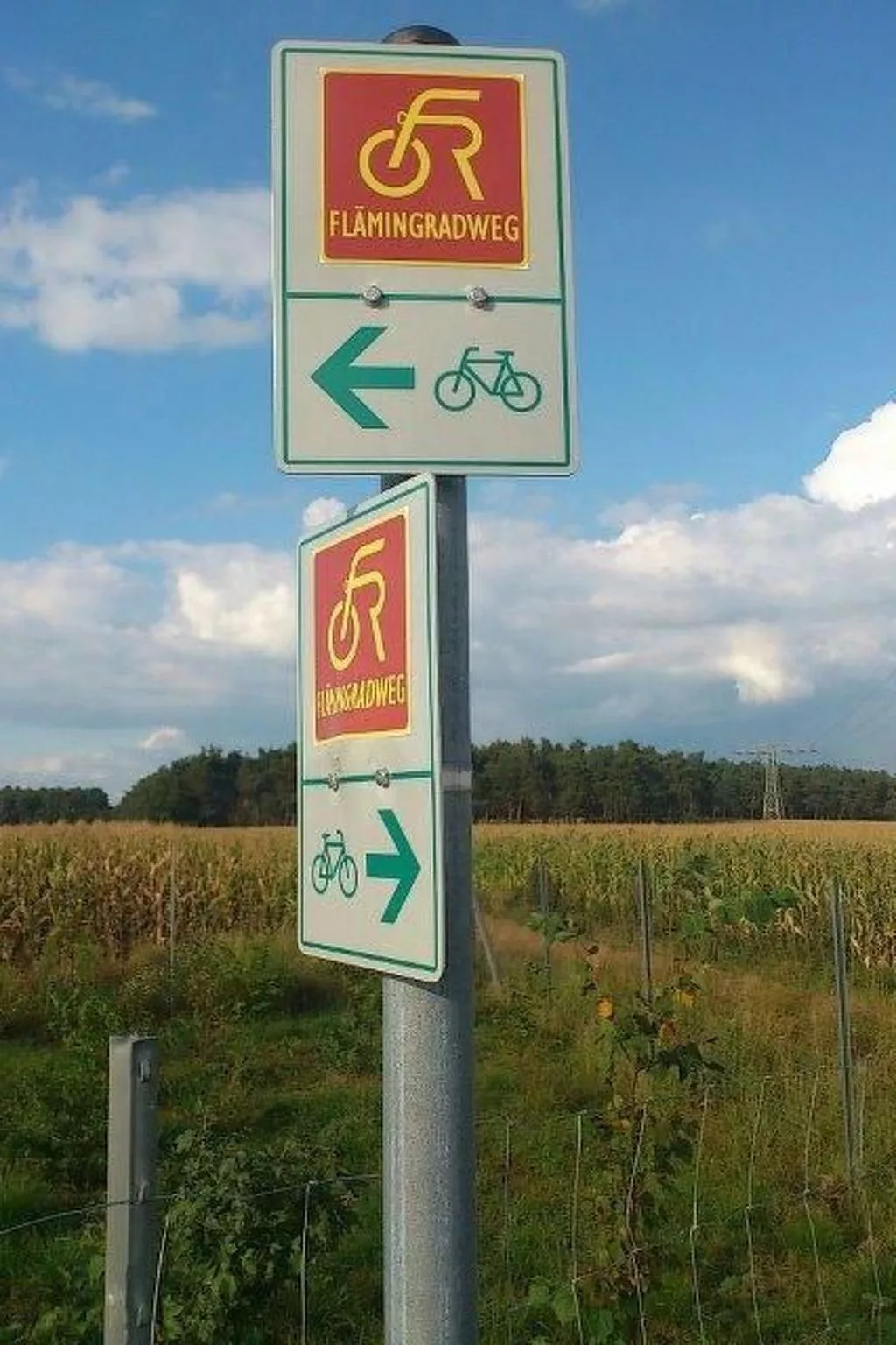 In ruhiger Lage am Waldrand mit Terrasse und großem Grundstück-Draußen
