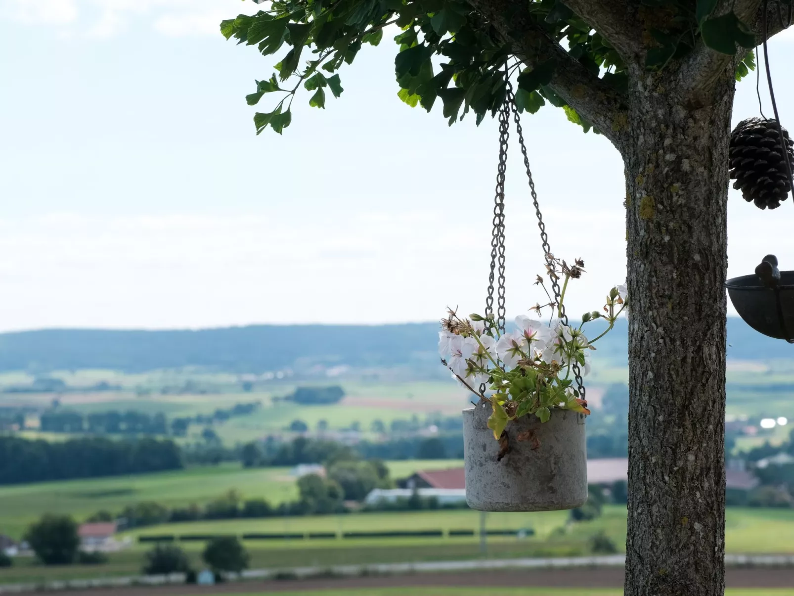 Fewo. Liebelt-Dehors