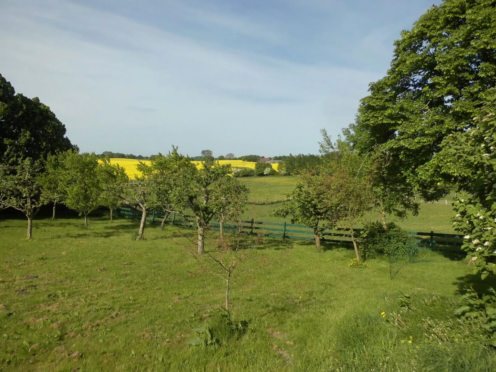 Haus in Zimmert mit Terrasse, Grill und Garten-Outside