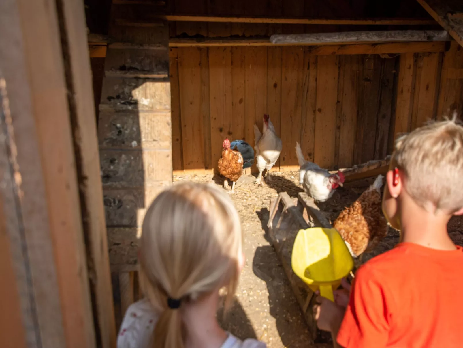 In Gemeinde Hermagor-Pressegger See mit Terrasse, Grill und Garten-Image-tags.info