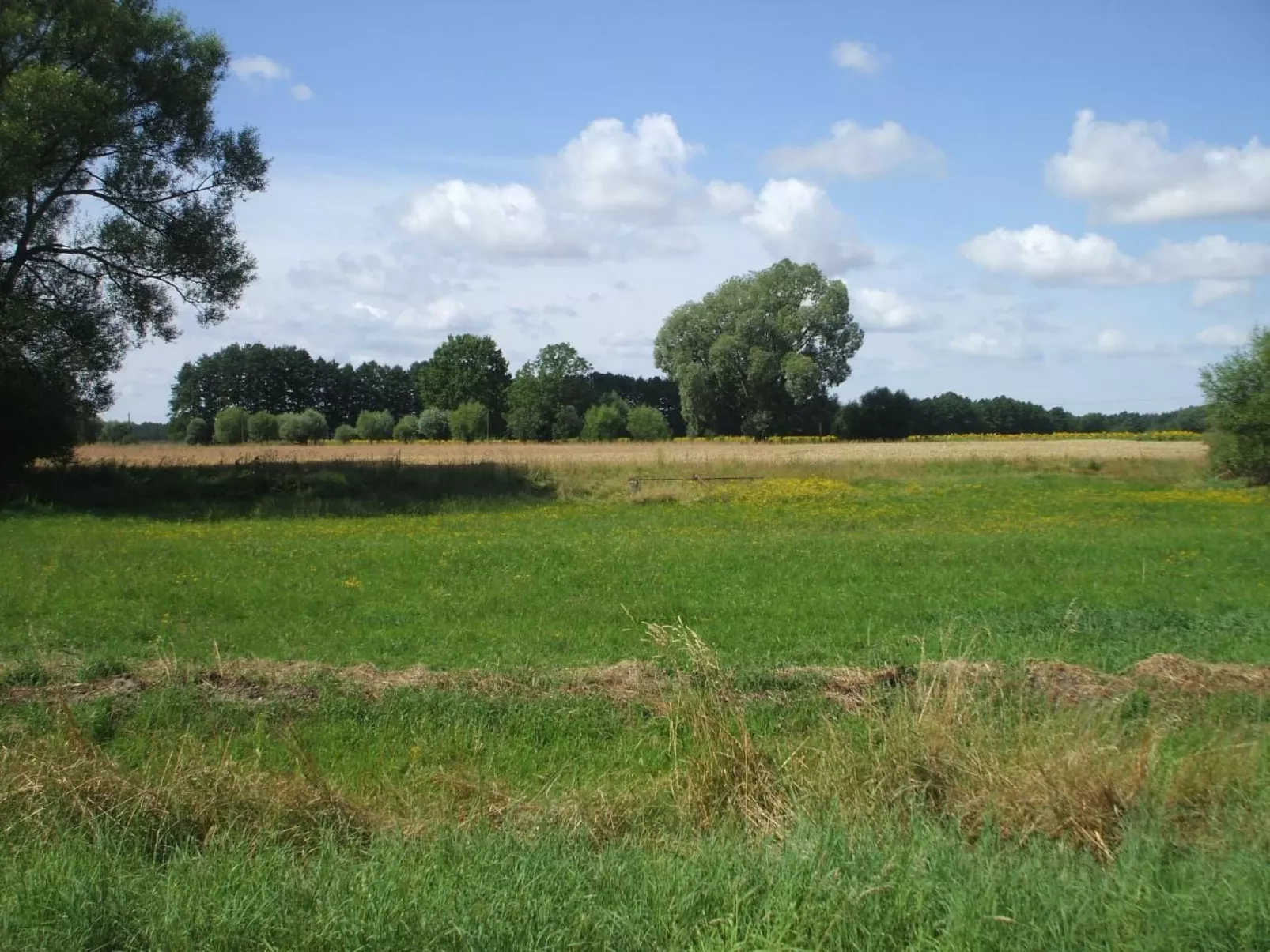 Oderhäuschen-Draußen