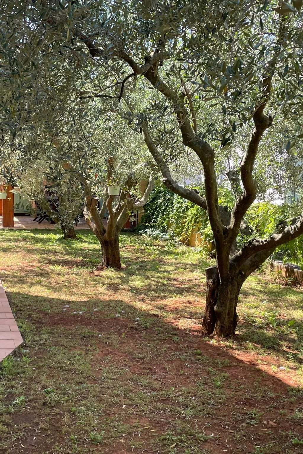 Komplette Villa mit zwei Appartements-Draußen