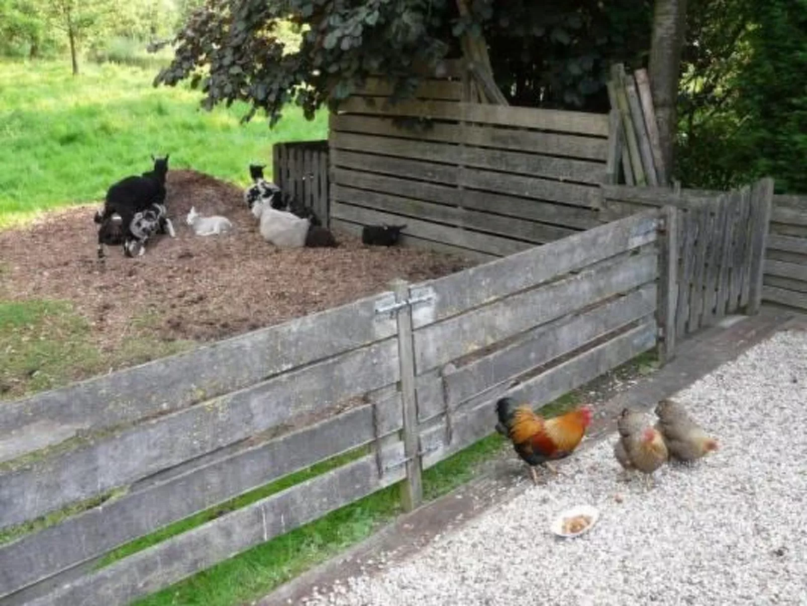 Wohnung auf dem Bauernhof-Dehors