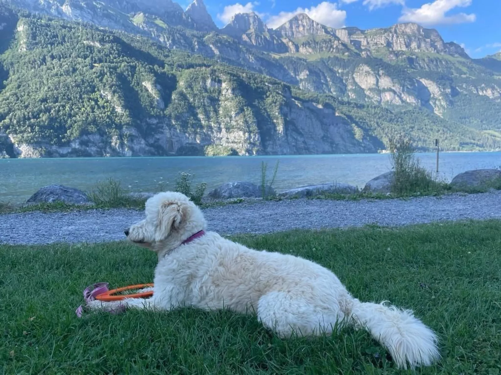 Cozy Accomodation Retreat for Families-Image-tags.info