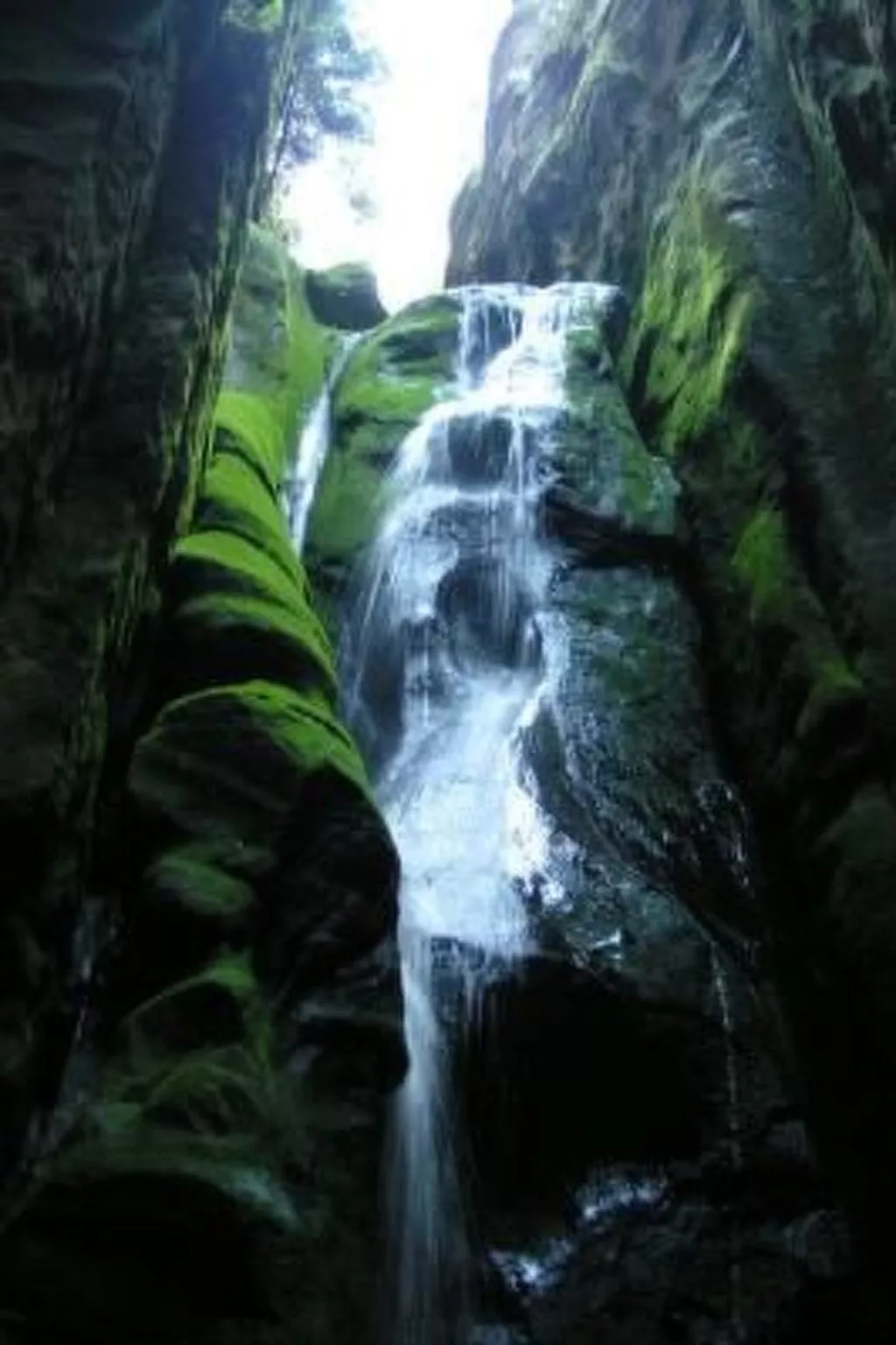 In natürlicher Umgebung-Draußen