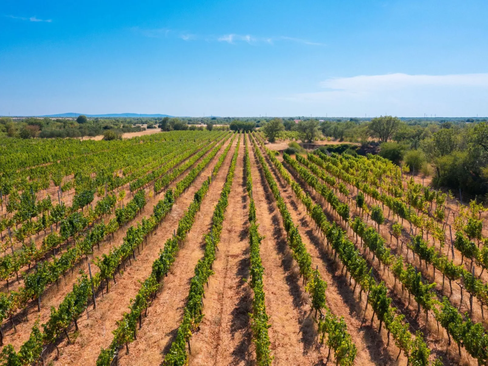 Haus für 11 Personen und 1 Kind in Razvode-Image-tags.info