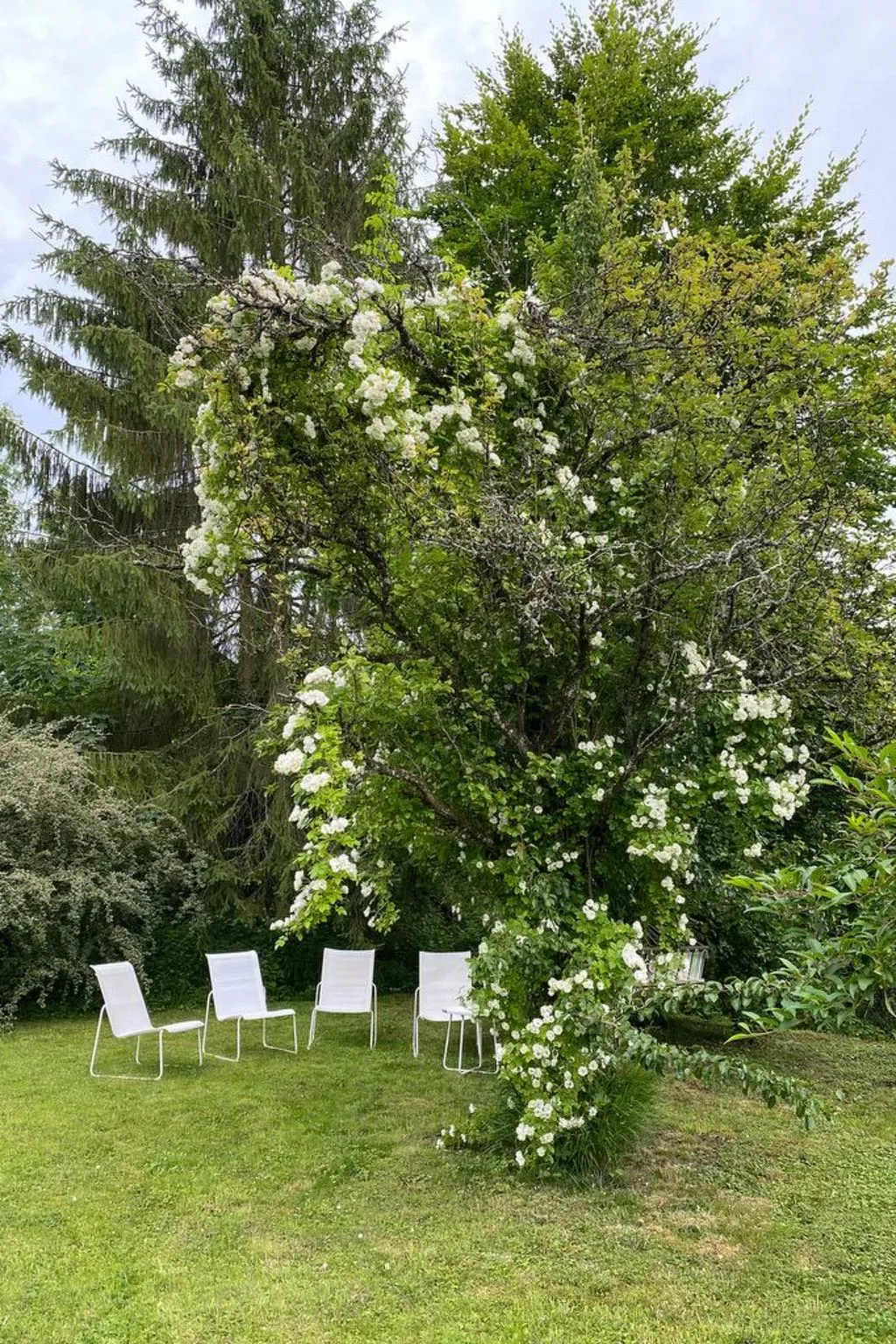 The Water Mill of Tourteron-Dehors