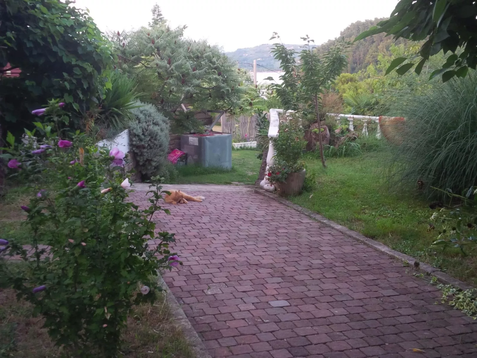 Appartement mit Balkon