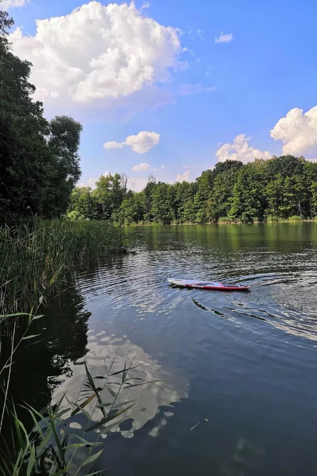 "Ferienhaus GolczaVita"-Outside