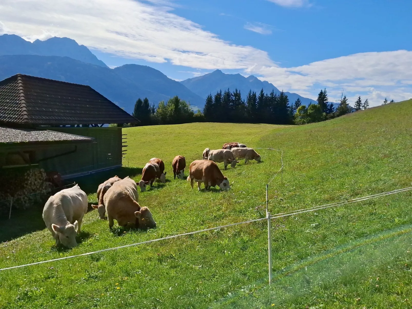 Waldpension Ranner-Draußen