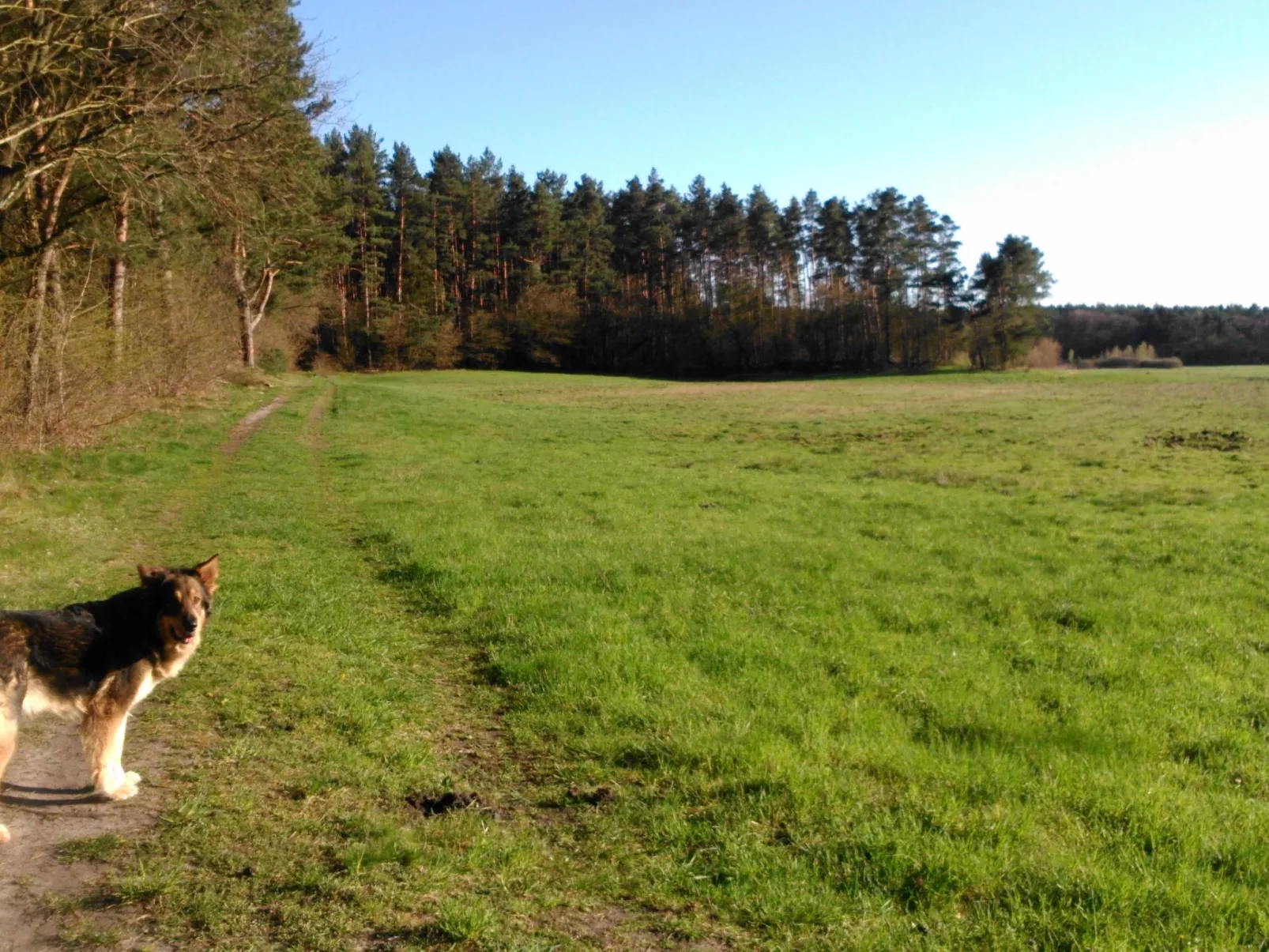 Finnhaus-Image-tags.info