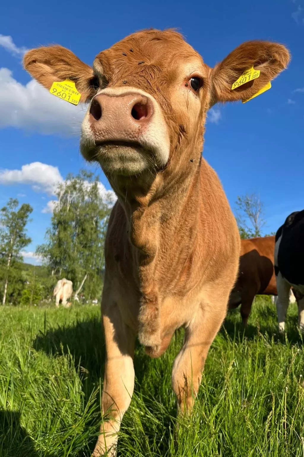 Wandlhof Ferienwohng-Outside