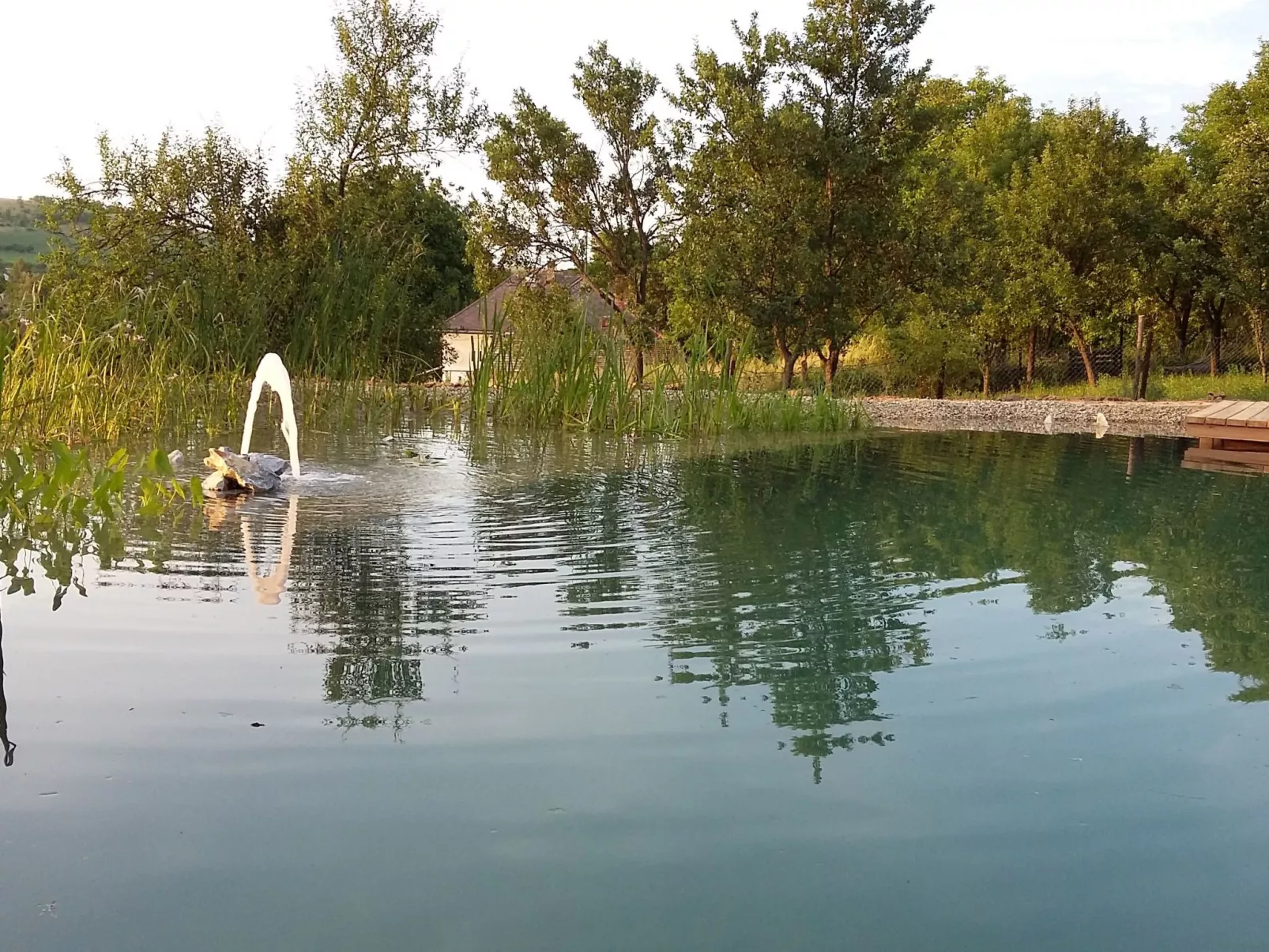 Mit biologischem Schwimmteich-Dehors