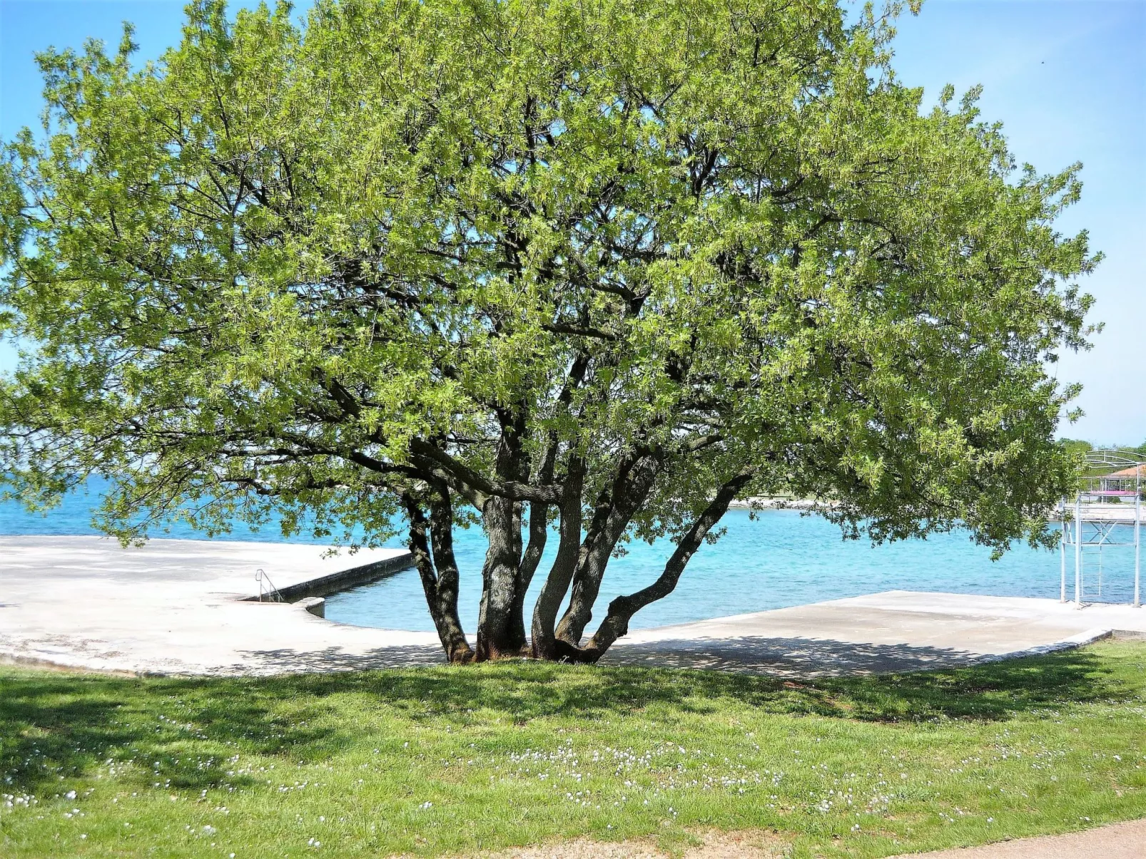 Appartement Irè 4 Persone-Draußen