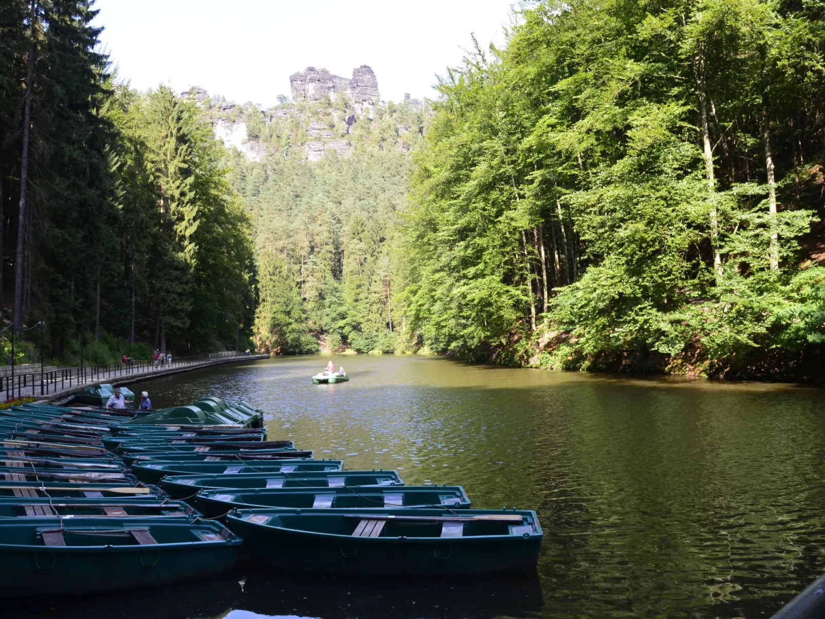 Panoramablick in Königstein-Dehors