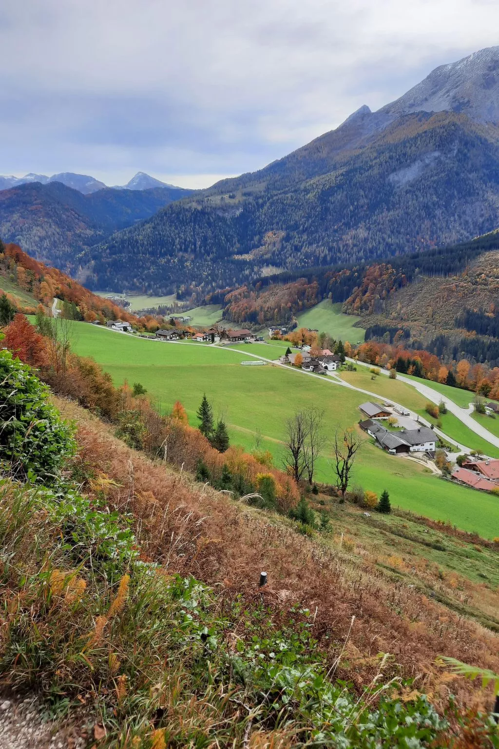 Fewo Rheinfeld-Draußen