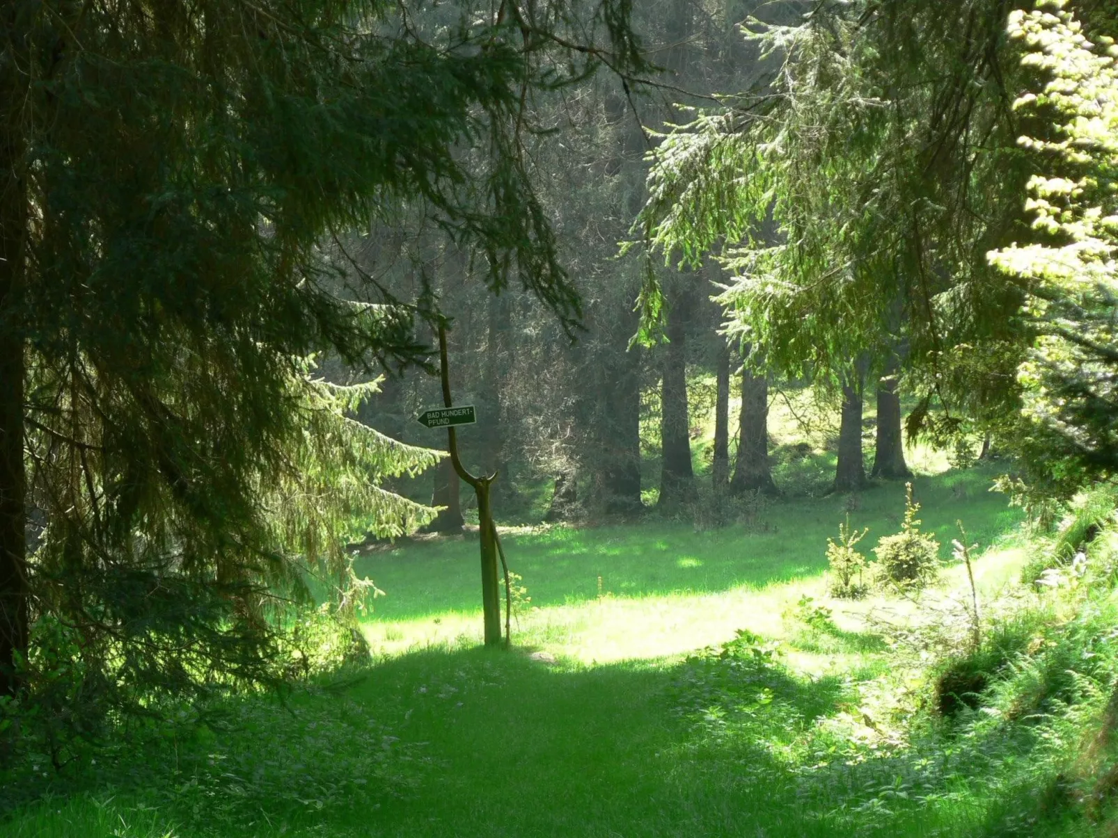 Für 6 Personen im Thüringer Wald-Draußen