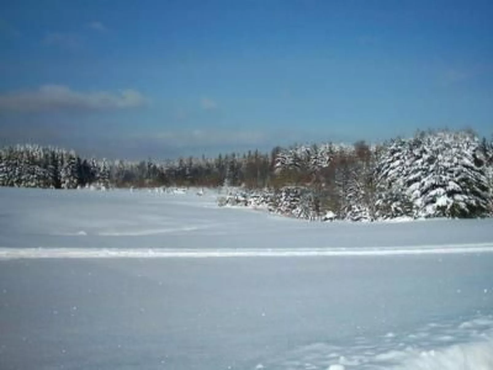 Haus "Hermann"-Outside