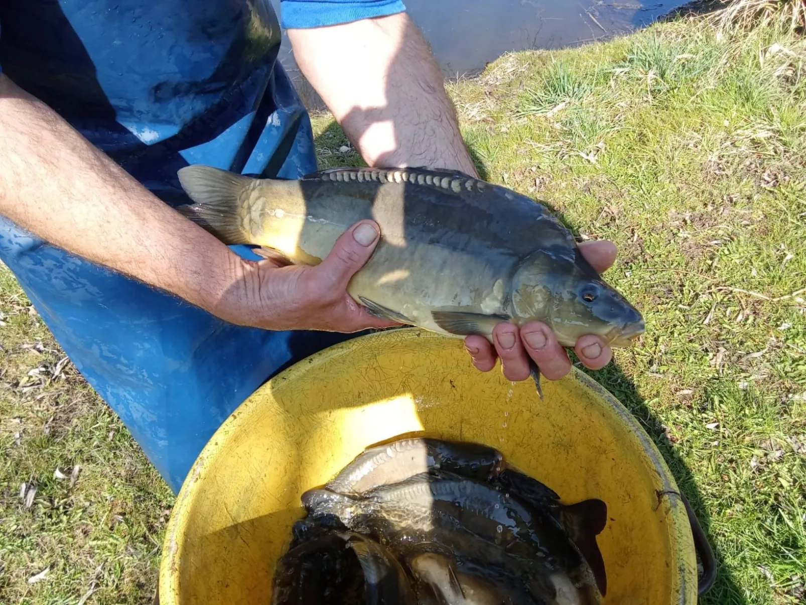 Blockhaus mit eigenem See-Image-tags.info