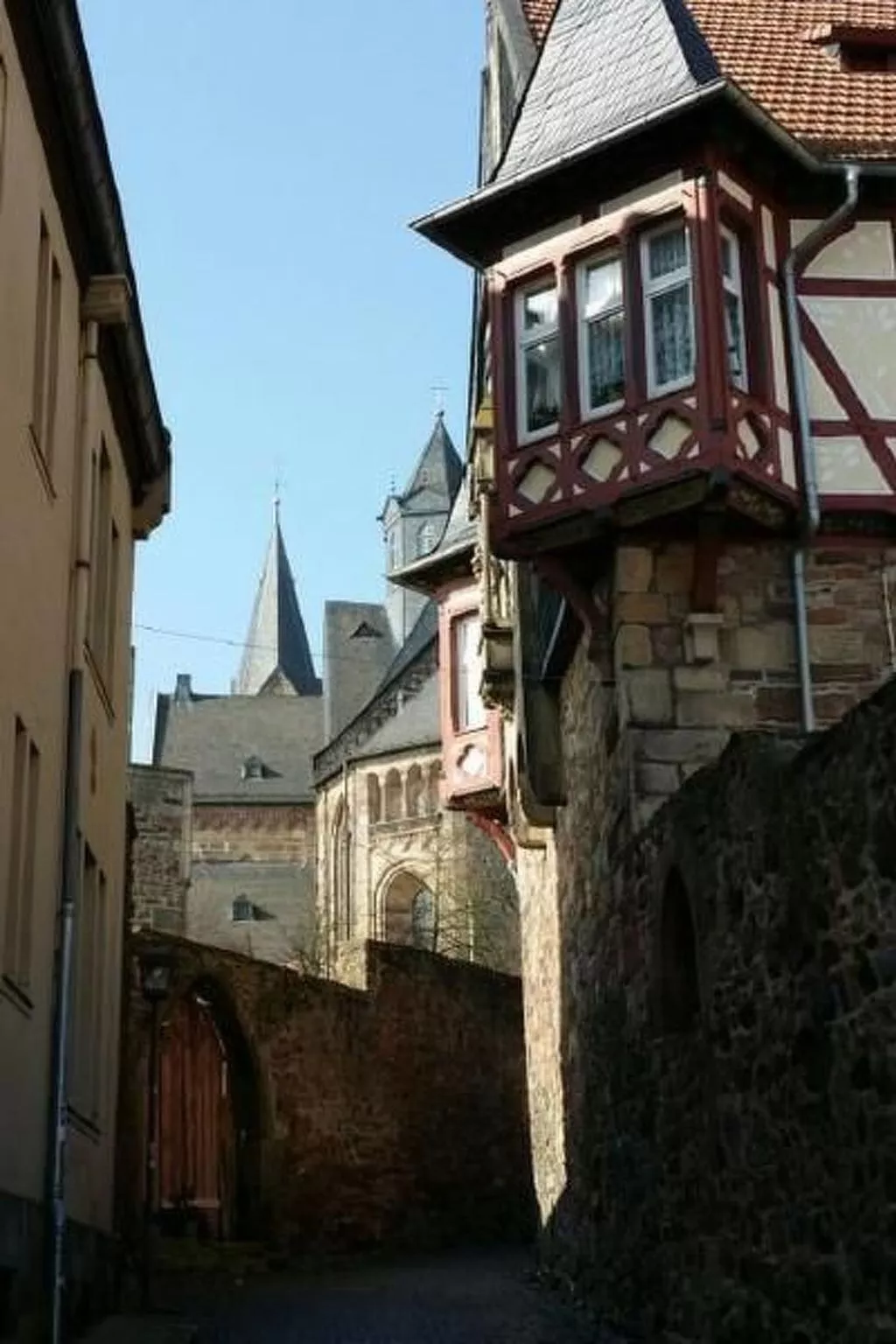 Reitz-Image-tags.info