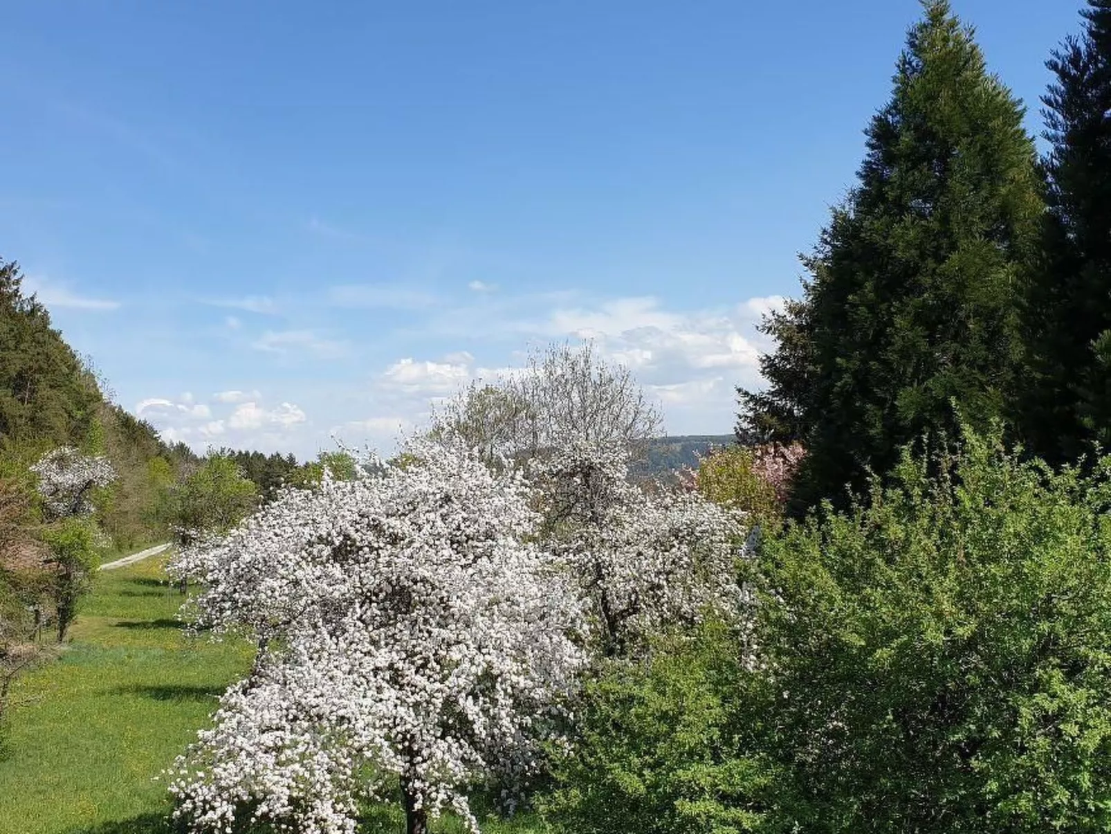 Schwarzwaldglück-Draußen