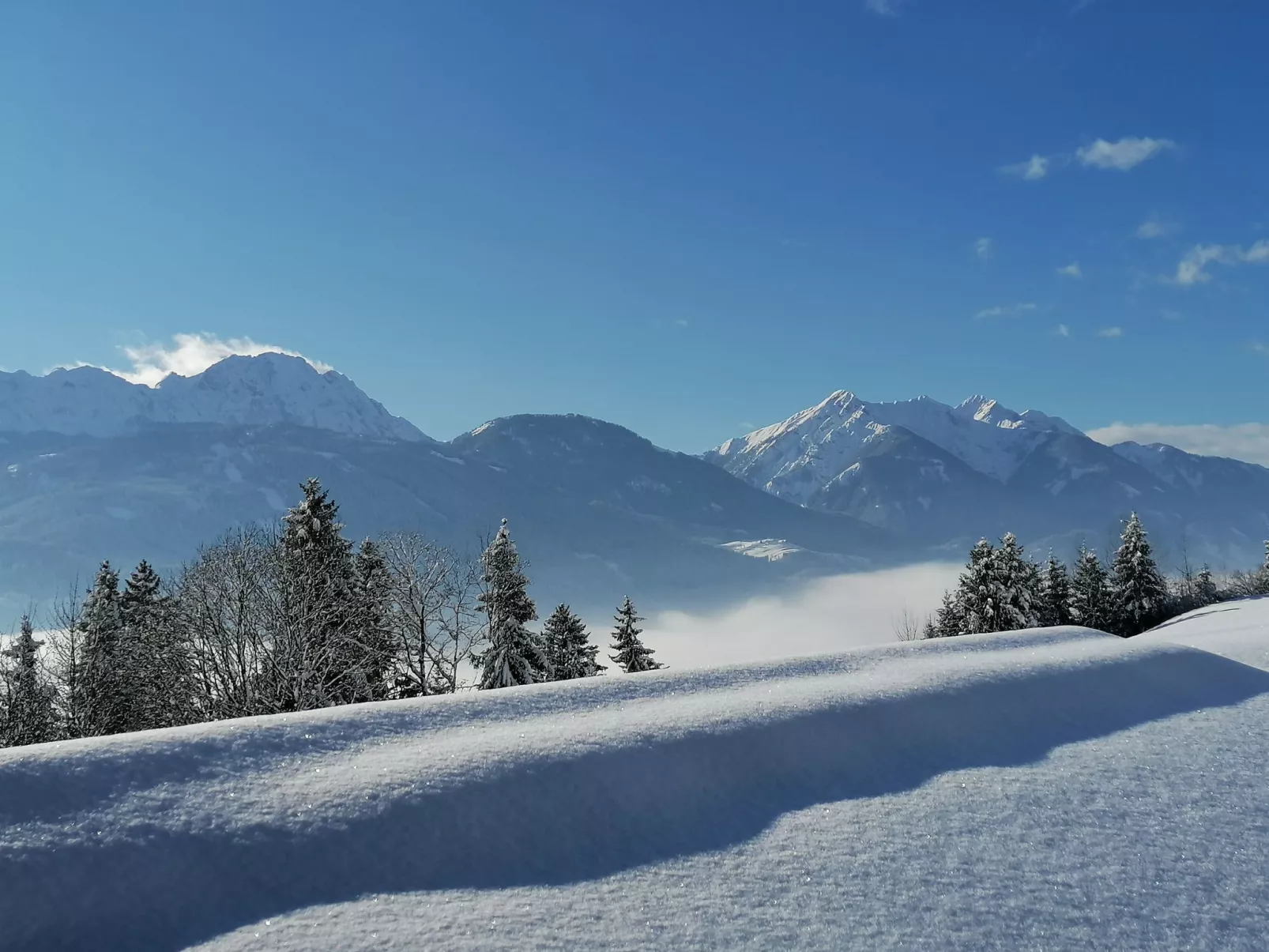 Waldblick in Steinfeld-Dehors