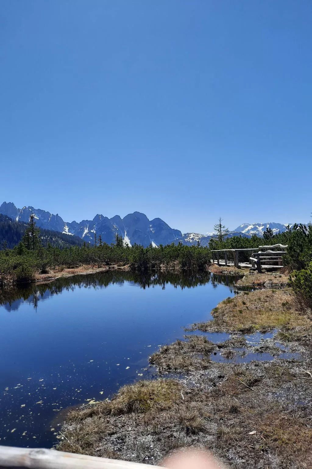 Deluxapartment Simon-Image-tags.info