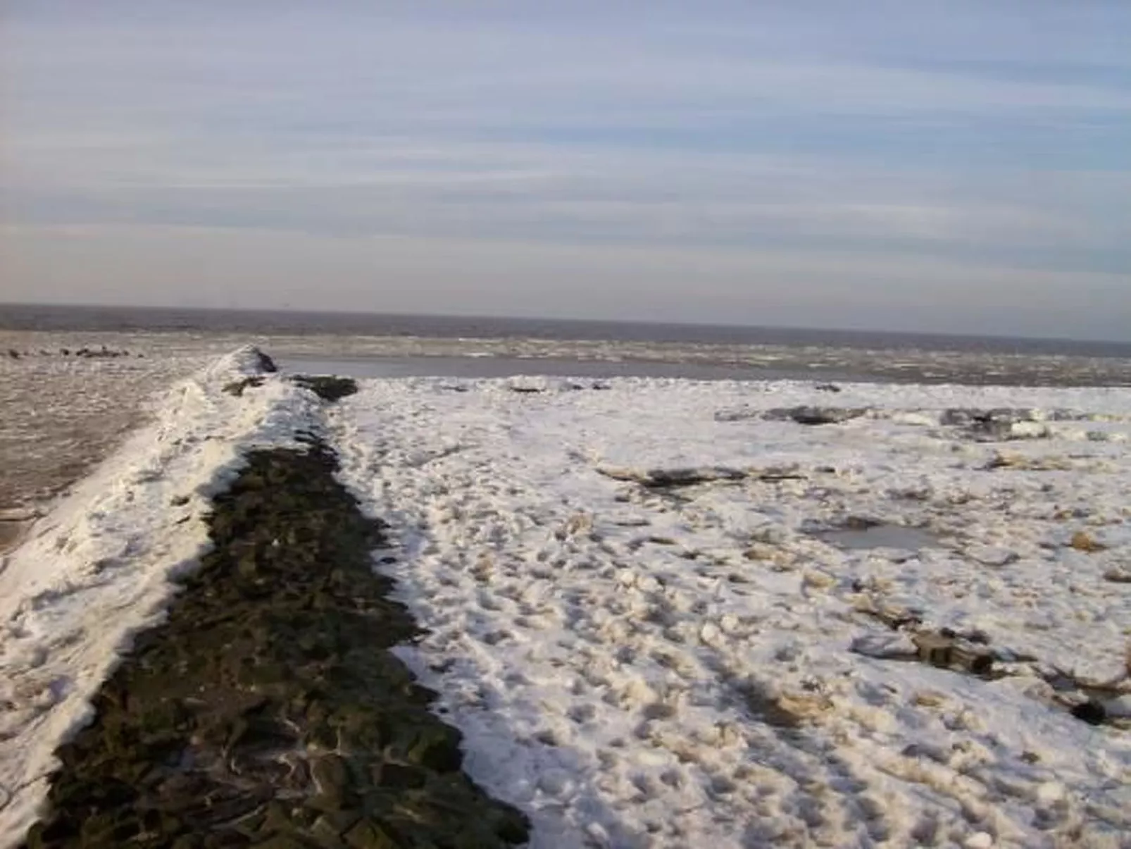 Seepferdchen-Outside