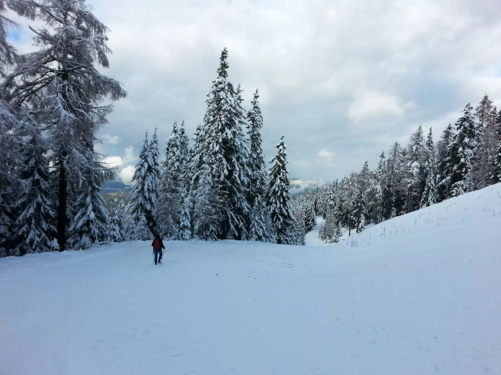 Wellnesschalet-Draußen